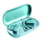 Fitness Open Earbuds